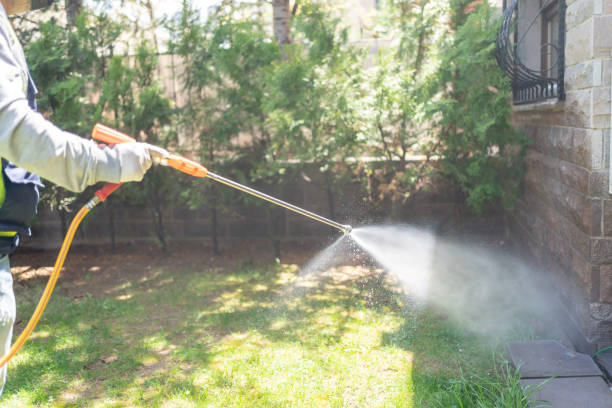 Best Residential Pest Control  in Hope Valley, RI