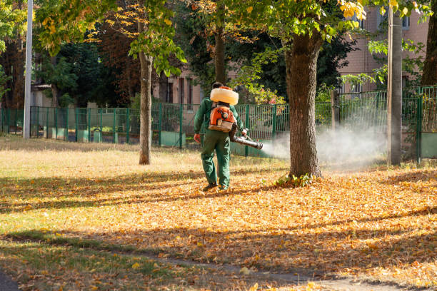 Best Local Pest Control Services  in Hope Valley, RI